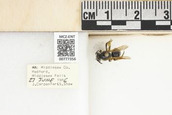 Media type: image;   Entomology 777356 Aspect: Labels